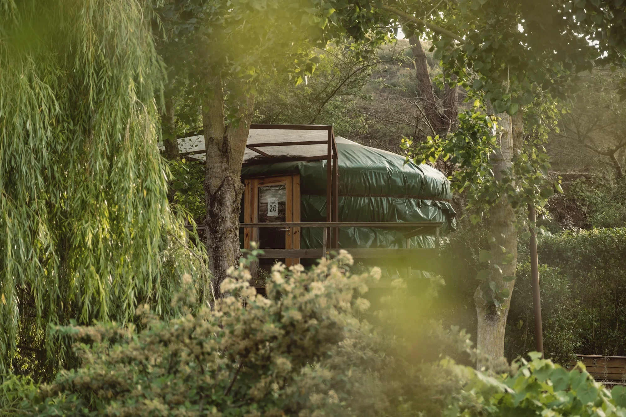 immersion igor kufayev portugal spiritual awakening